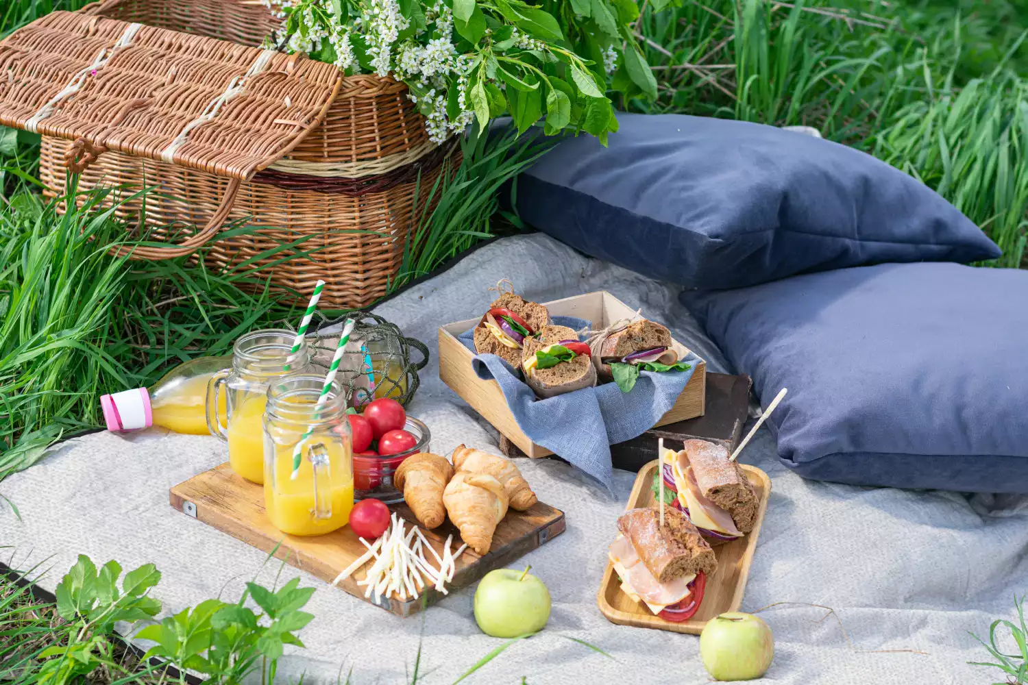 perfect picnic blanket