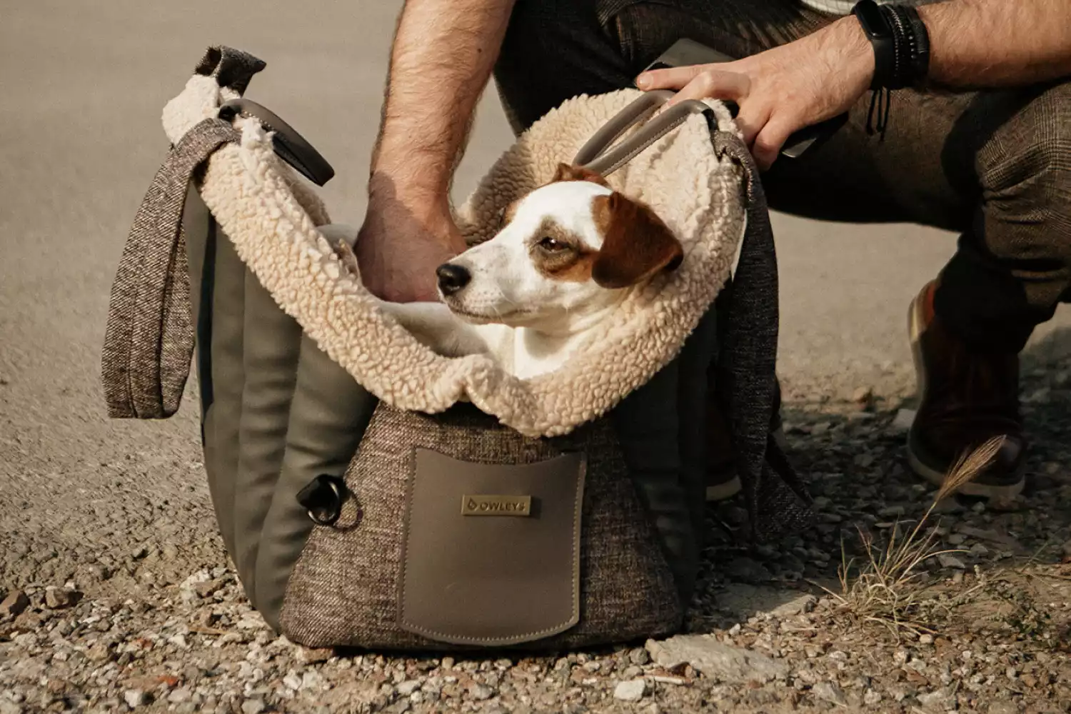 Cesky Terrier Dog Carrier Car Seat for Toyota Tacoma