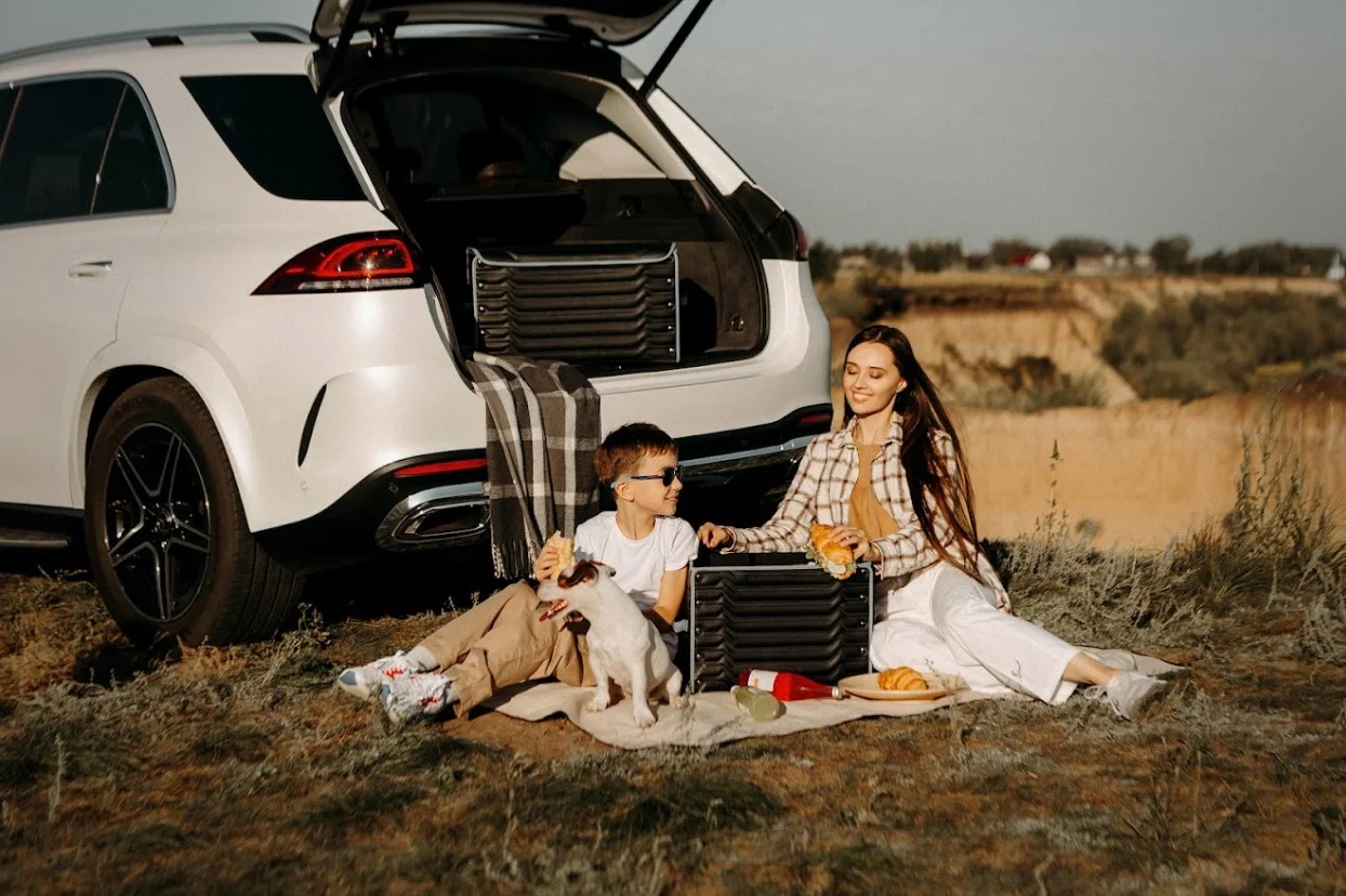 fold up picnic blanket